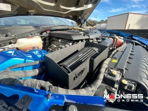 Alfa Romeo Giulia Performance Air Intake - 2.0L -  Forge Motorsport